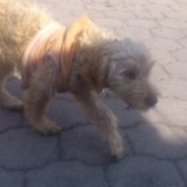 D 6f07c990 09e7 403e 9ce5 b68627348927