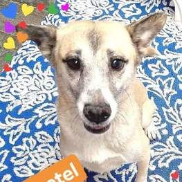 D db0503e6 172b 431e a2a2 1d74f463eb3f