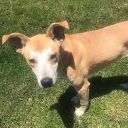 D 0f1121c0 83c4 428c 926a c8d951b17994