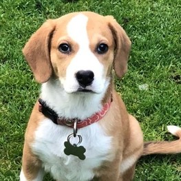 D d9adf2e5 3b9c 4957 be49 5c4dda84ac08