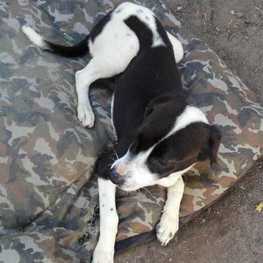 D 17c26c5a 8714 48dc 9361 f6d50cca3cc5