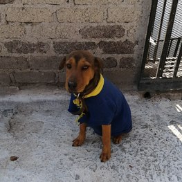 D 1fedacf8 3c21 47c5 a6f8 cf7128606b17