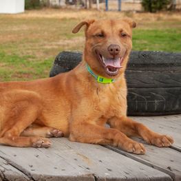 D 1e82b4a9 e373 47c5 b24f 8435c9bf16ac