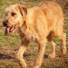 D efeafaa3 40f1 48c2 a348 9acc3d1ec80f