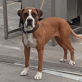 D 80161b14 7fdb 4c20 bbe2 ea7219c31e49