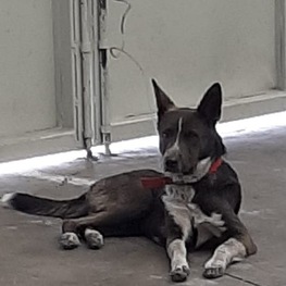 D d7fed38c 79e6 4f04 ae97 5f0f28df69e4