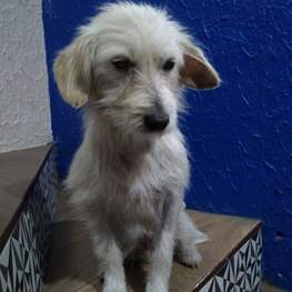 D 04f9ff85 d758 4e07 9300 7111b261de5c