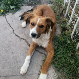 D fa3ef449 ea13 4f2d 9c06 514da453916e