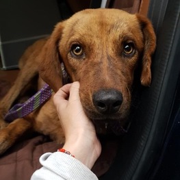 D c3931422 4283 4300 9339 dfc91929f34e