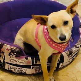 D 0e52a19b 64a8 4e76 83c8 b8da66aee9b4