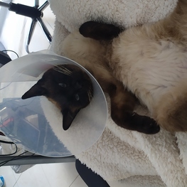 D 8ac5b322 2900 4bd6 b3ad 968e00506ede