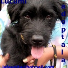 D 9f95d360 9bb6 4fb6 9731 0739cb91b587