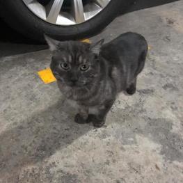 D 0e02ce6e 7cdc 4470 8877 e7ad6762d3c8