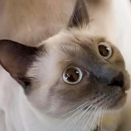 D 4e3a6ae3 8b2f 44ba 9977 bfccec3d1735