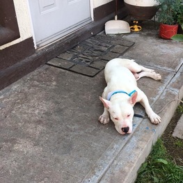 D 1186aed0 64dd 467d 9272 9fa35f8a9581