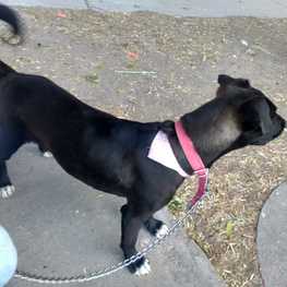 D b7fdd8b7 dc2b 4474 9ed3 fb30d20e1d47