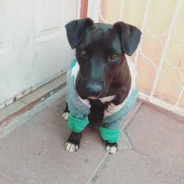 D 1b4d958f 074d 4d94 b07b b442381479ba