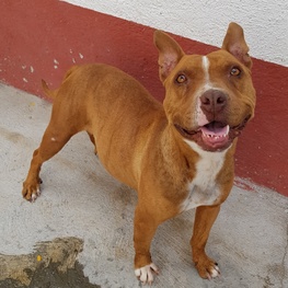 D d8b3f676 4953 4fad ad6f 4ae7b9b4b83a