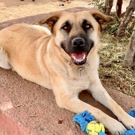 D 1b45945f 086e 4457 8c07 aea6c9881e30