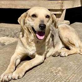 D 7fdee5ca 16d5 4cd8 8456 2f5ea839096b