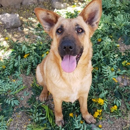 D b09eabf5 97c3 4de9 8741 257401a442eb