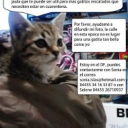 D 0a1274a3 aa37 4867 9da1 3119cc9261cd