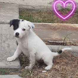 D 696c9b99 ee91 4e5c 8c66 cf01e74c9a0b