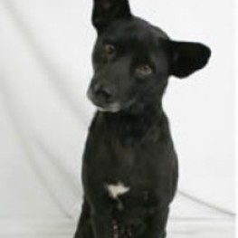 D 084cfc24 f703 486f 9142 6979e20851ca