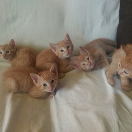 D 6cb71278 e705 49e7 a049 d906c3a8065d