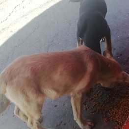 D 5460f91a a038 4e39 a9f2 d2c10c715cd6