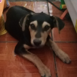 D 5ea57b06 8fea 4127 98e4 4fcbc6b2321f