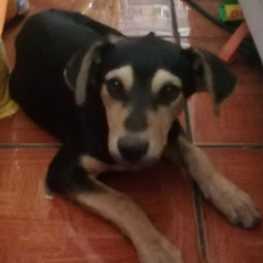 D 642ad963 aa74 4afd 9432 23aea9ee6ea8