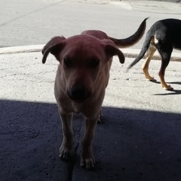 D ea0e24f4 7692 4129 9e15 0e07246a9872