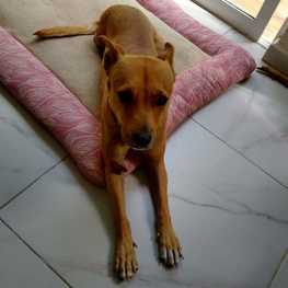 D 163f0674 93e7 4d21 91ef b700bf8d4f27