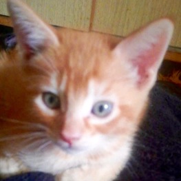 D b9c7bc12 923f 43be 8ebf 64ced82cb81c