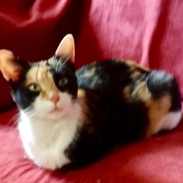 D f50e02cc afee 4565 a64c 4a034daf8b85