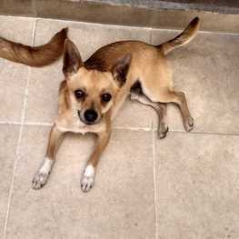 D 47bb67af 29a7 47a4 acbc d7e3dad70add