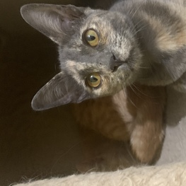 D 9701e58a 52d3 44a9 b003 29a8ac7e9438