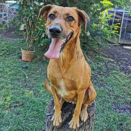 D 4a01f431 ee8b 4419 bc7d 8d686f8f2647