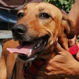 D 97429c2b de87 4d56 9818 d21c9791049d