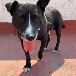 D dc54af1b 8281 4c1b 8623 9578cfc11d99