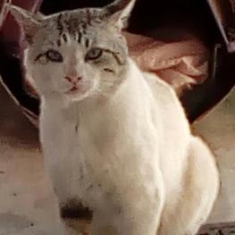 D 02bc084f 4e7e 4870 9887 14a01b7a43ac