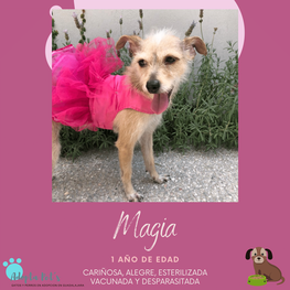 D 06100008 572b 4a8d b0cd 265dba2e86ba