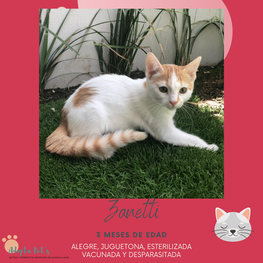 D c1d1ba90 a1d2 4a21 b466 8dc8bfaec8d7