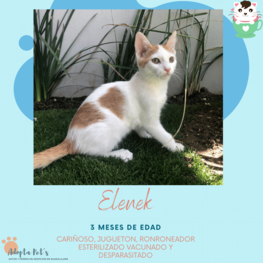 D d1438bca 2020 405c 98cf b604a7fb689d