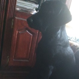 D b73fbb2b 92d5 4e6d b2ff 55d618b725fc