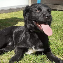 D fca10c6b d5b1 462b 87ef 11b7eede2c14