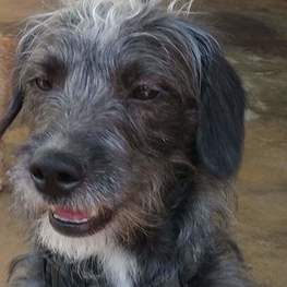 D 6e3eb3a8 578b 42e5 9099 ce2fd1d63a2d