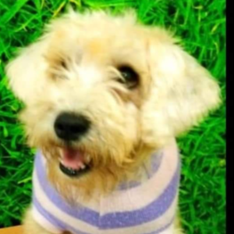 D acfd0580 b833 43aa 9778 ceb089ab7653