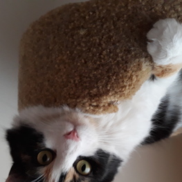 D aa2f7fd3 1192 405b 9de9 a864114cec36